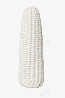 白色玉米png一个白玉米蔬菜高清图片