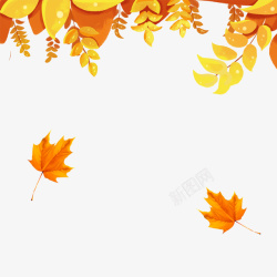 秋季枫树落叶素材