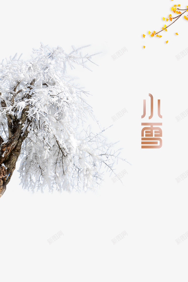 冬天小雪树枝树木积雪二十四节气psd免抠素材_88icon https://88icon.com 冬天 小雪 树枝 树木 积雪 二十四节气