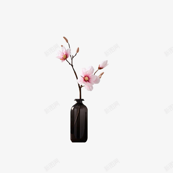 简单的黑花瓶png免抠素材_88icon https://88icon.com 粉红色 黑色 花瓶 装饰