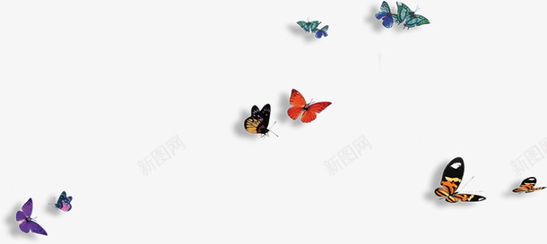 多彩蝴蝶颜色图标