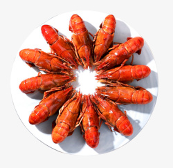 小龙虾麻辣龙虾夏天食物美食素材