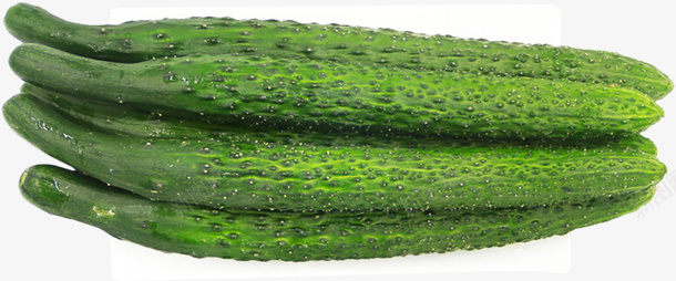 一盘新鲜的黄瓜png免抠素材_88icon https://88icon.com 生鲜 蔬菜 黄瓜 特写