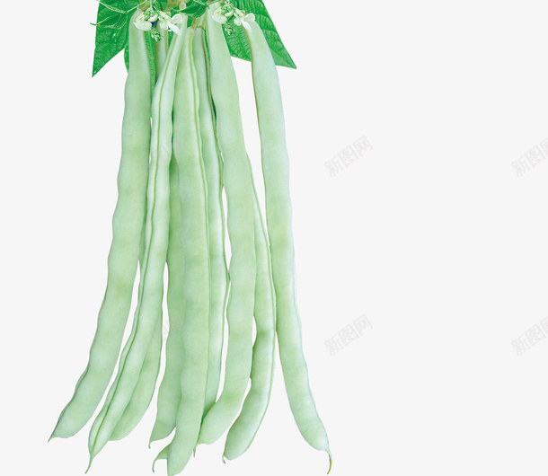 绿色长豆角蔬菜png免抠素材_88icon https://88icon.com 一把绿豆角 爱心蔬菜 绿色豆角 菜类图片 蔬菜 豆角 长豆角
