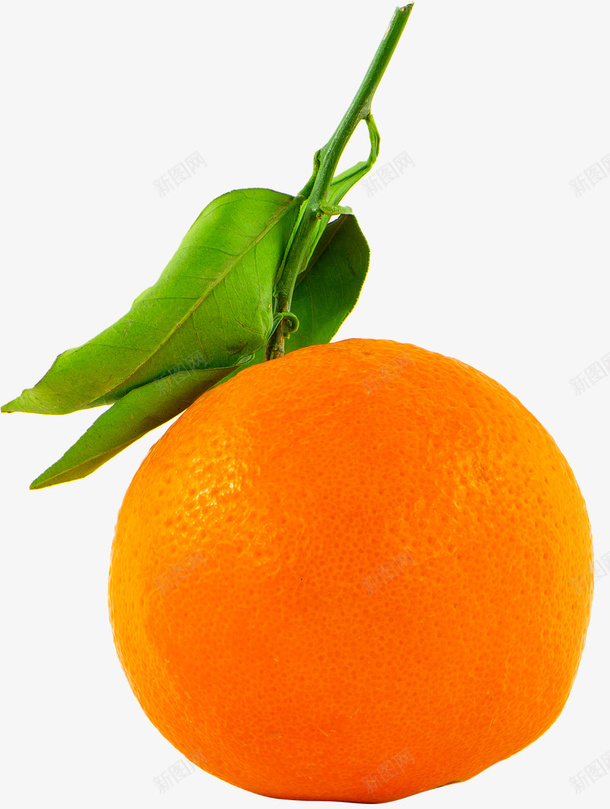 一个橘子带叶子png免抠素材_88icon https://88icon.com 橘子 自然 水果 其他
