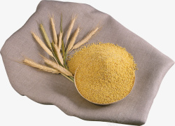 植物小麦粗粮主食麦穗素材