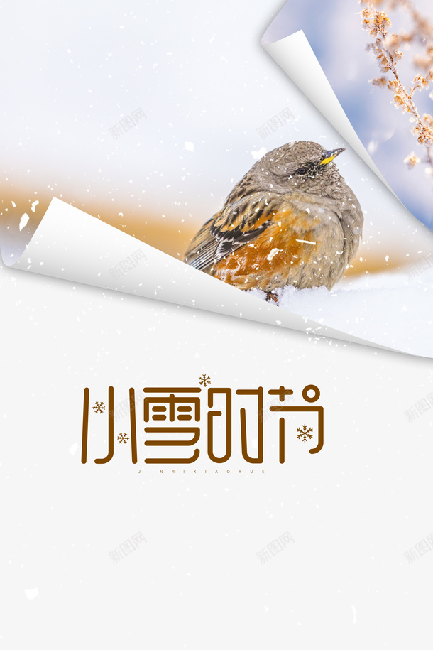 冬季小雪鸟雪花二十四节气psd免抠素材_88icon https://88icon.com 冬季 小雪 鸟 雪花 二十四节气