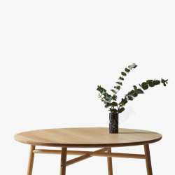 小植物花瓶木头圆形桌子高清图片