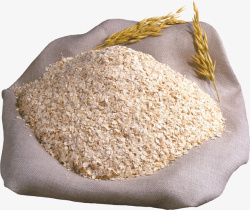 植物小麦粗粮主食麦片素材