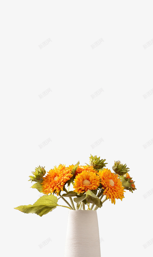 不知道什么花瓶png免抠素材_88icon https://88icon.com 绿色 小植物 花瓶 植物