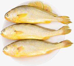 黄花鱼一盘新鲜的黄花鱼高清图片