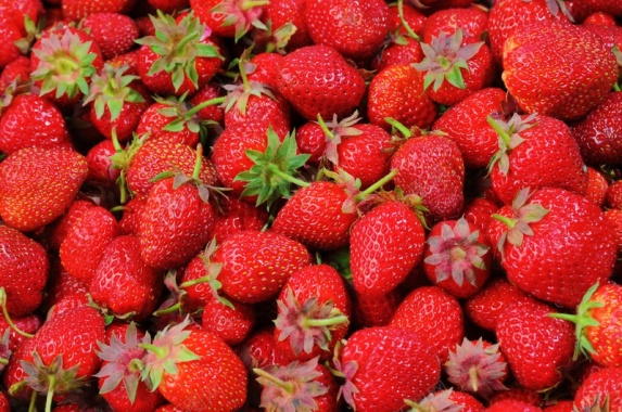 满满的草莓背景