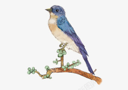 蓝色小鸟树枝装饰素材