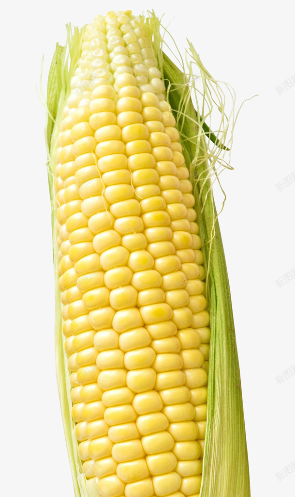 玉米食物粮食农作物png免抠素材_88icon https://88icon.com 农作物 玉米 玉米须 甜玉米 粮食 食物