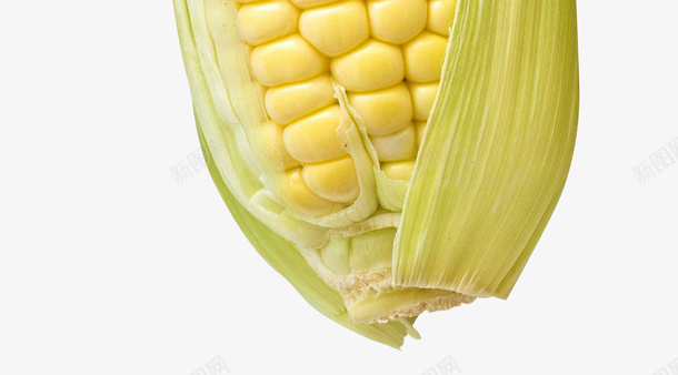 玉米食物粮食农作物png免抠素材_88icon https://88icon.com 农作物 玉米 玉米须 甜玉米 粮食 食物