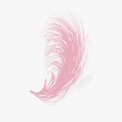 深粉色深粉色的羽毛高清图片