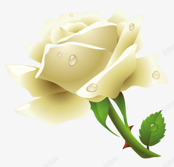 手绘白玫瑰PNG像png免抠素材_88icon https://88icon.com 白玫瑰 玫瑰 花朵 小清晰 植物 花朵装饰