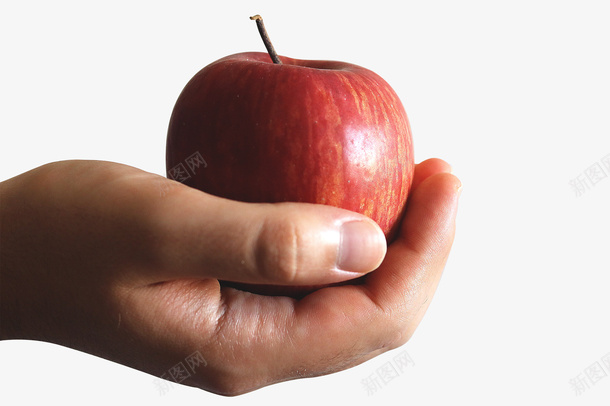 苹果手里拿着的苹果水果png免抠素材_88icon https://88icon.com 苹果 食物 水果 手里的水果