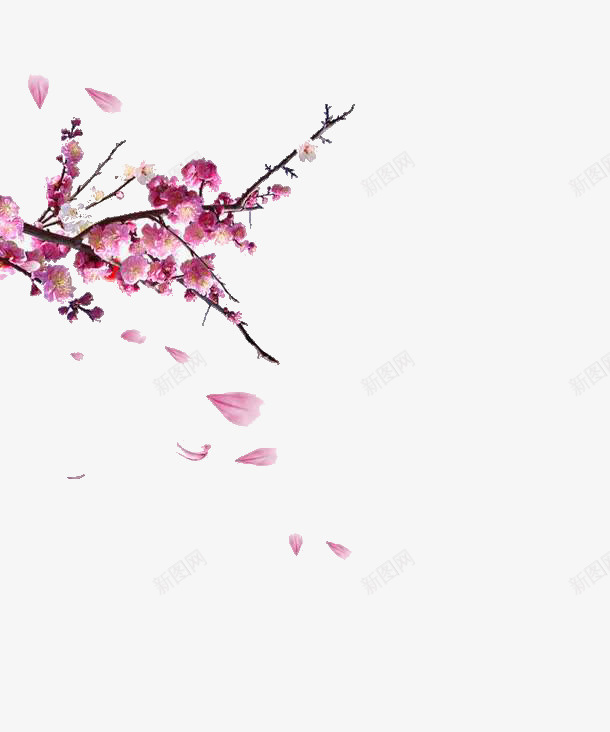 中国风梅花飘落免扣元素png免抠素材_88icon https://88icon.com 中国风 梅花 飘落 免扣