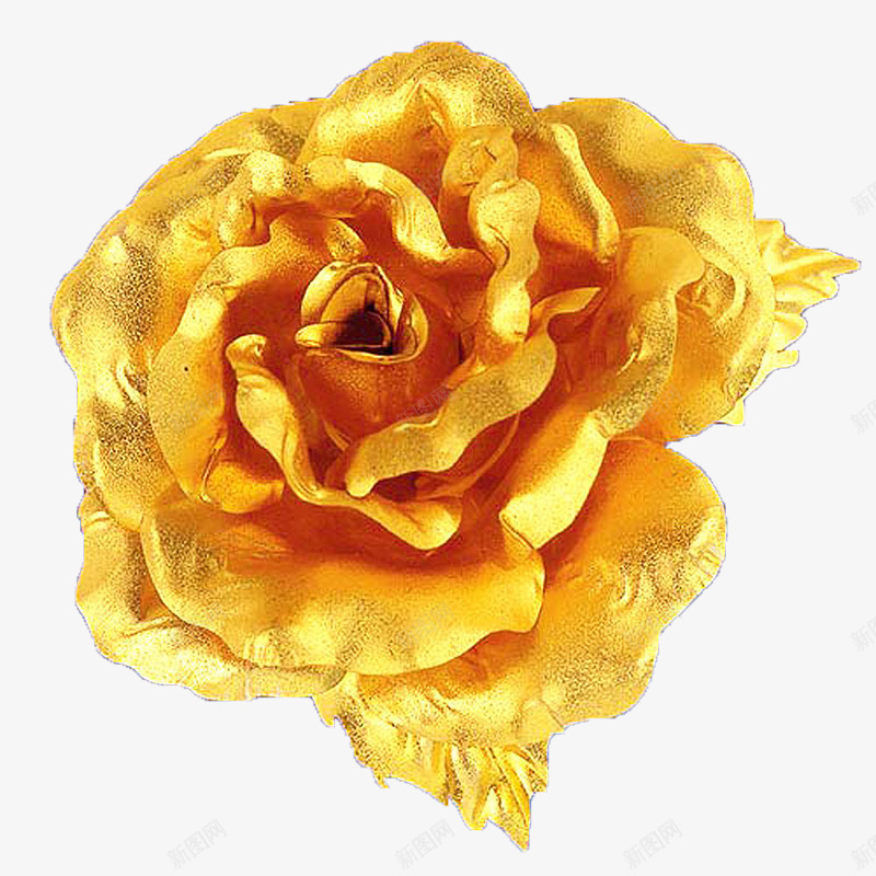 免扣透明图花朵金色金属玫瑰花卉png免抠素材_88icon https://88icon.com 免扣 玫瑰 玫瑰花 花卉 花朵 透明图 金属 金色 镀金