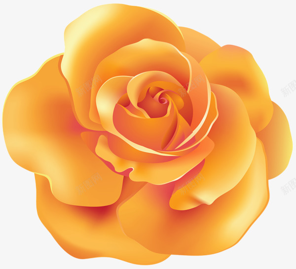 rose66817600546手绘T2020523png免抠素材_88icon https://88icon.com rose66817600546 手绘 T2020523