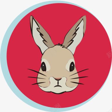 白色图标iconrabbit图标