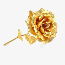 免扣透明图花朵金色金属玫瑰花卉素材
