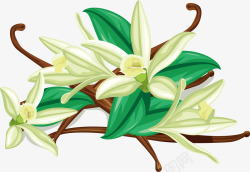 图花朵的旅程3植物鲜花透明图案鲜花植物叶子竹素材