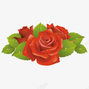 双色花朵玫瑰玫瑰花瓣玫瑰花朵免扣玫瑰绿色植物叶子草图标