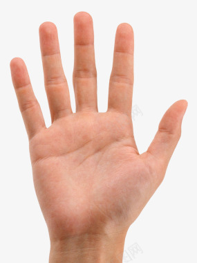 五指张开手掌张开五指右手男Handshandimagefr图标