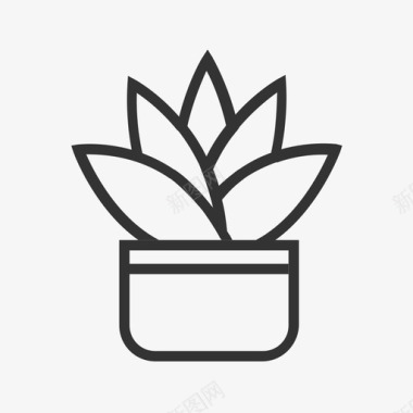 植物多肉植物单色图标
