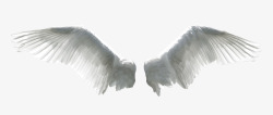 淡灰色天使翅膀素材
