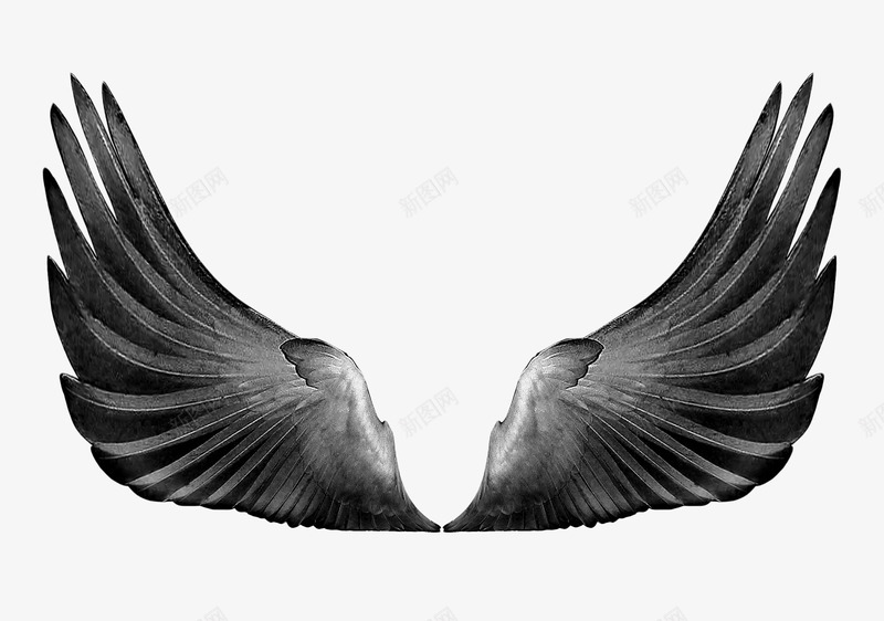 黑色天使翅膀png免抠素材_88icon https://88icon.com 天使的翅膀 简约翅膀 飞翔翅膀 黑色