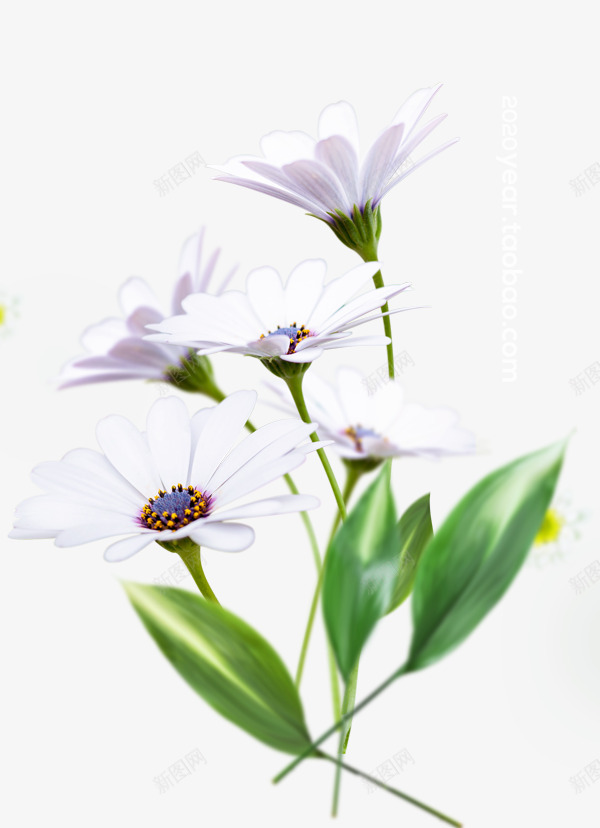 春季鲜花花朵涂设计png免抠素材_88icon https://88icon.com 春季 鲜花 花朵 设计