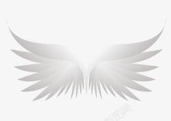 天使翅膀灰白色羽毛素材