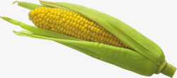 的玉米玉米剥玉米蔬菜食物美食透明8蔬菜水素材