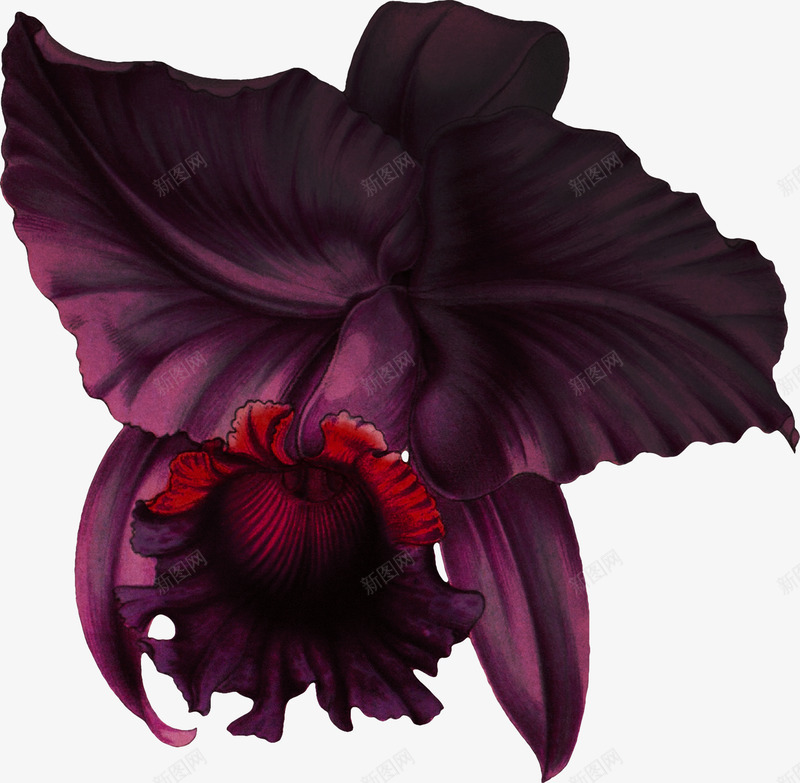 复古唯美花卉装饰字母边框贺卡请柬封面图案39复古唯png免抠素材_88icon https://88icon.com 复古 唯美 花卉 装饰 字母 边框 贺卡 请柬 封面 图案