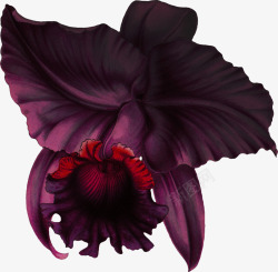 复古唯美花卉装饰字母边框贺卡请柬封面图案39复古唯素材