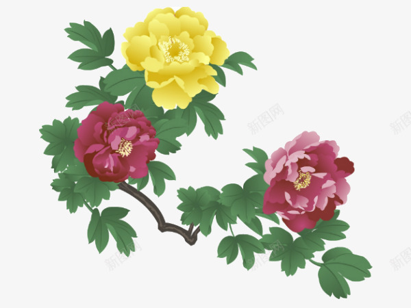 图牡丹花手绘工笔水墨png免抠素材_88icon https://88icon.com 牡丹花 手绘 工笔 水墨