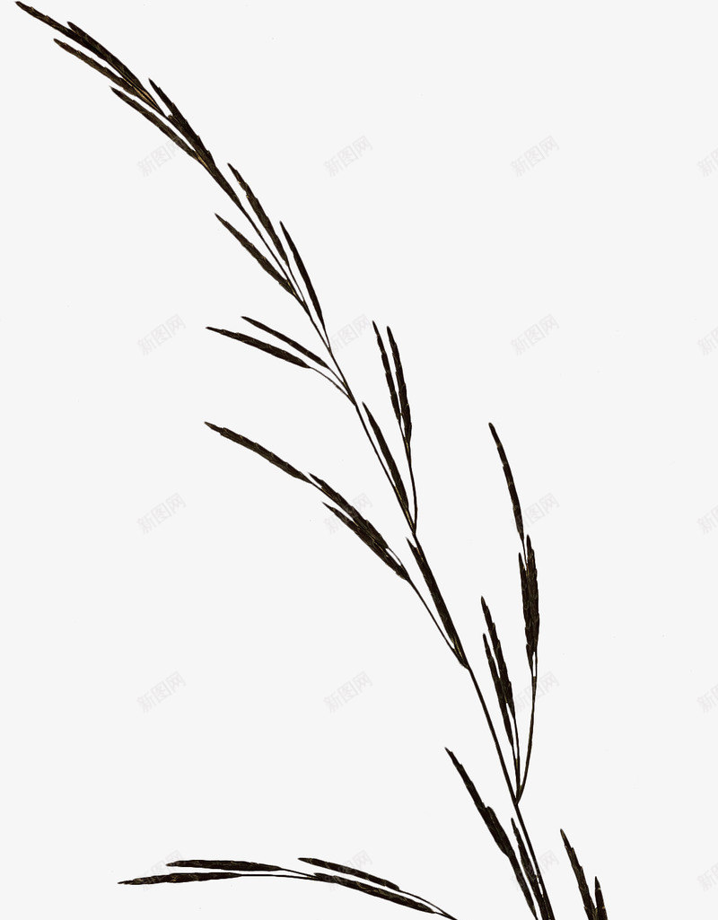 复古唯美花卉装饰字母边框贺卡请柬封面图案60复古唯png免抠素材_88icon https://88icon.com 复古 唯美 花卉 装饰 字母 边框 贺卡 请柬 封面 图案