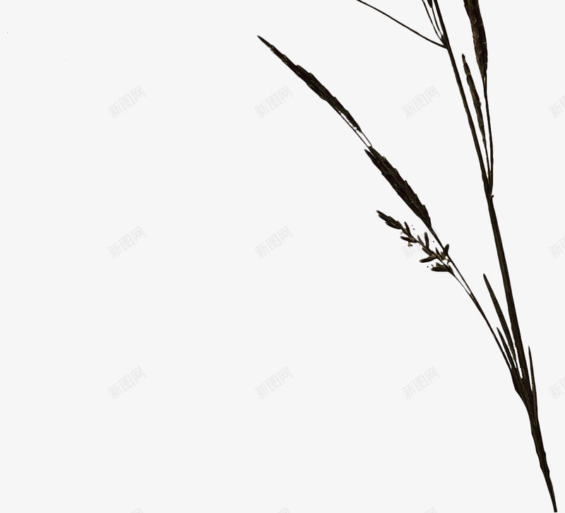 复古唯美花卉装饰字母边框贺卡请柬封面图案60复古唯png免抠素材_88icon https://88icon.com 复古 唯美 花卉 装饰 字母 边框 贺卡 请柬 封面 图案