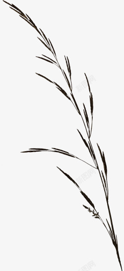 复古唯美花卉装饰字母边框贺卡请柬封面图案60复古唯素材