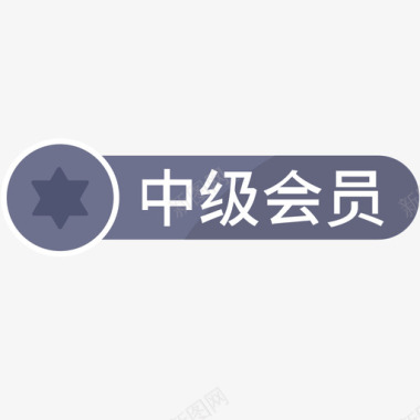 会员一卡通中级会员图标