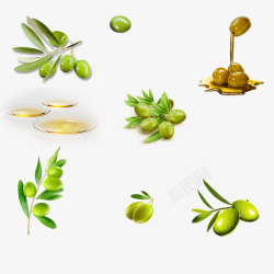 橄榄免扣植物绿叶Flower花果实种子素材
