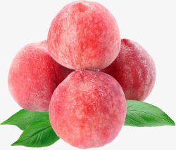 水蜜桃桃子水果素材