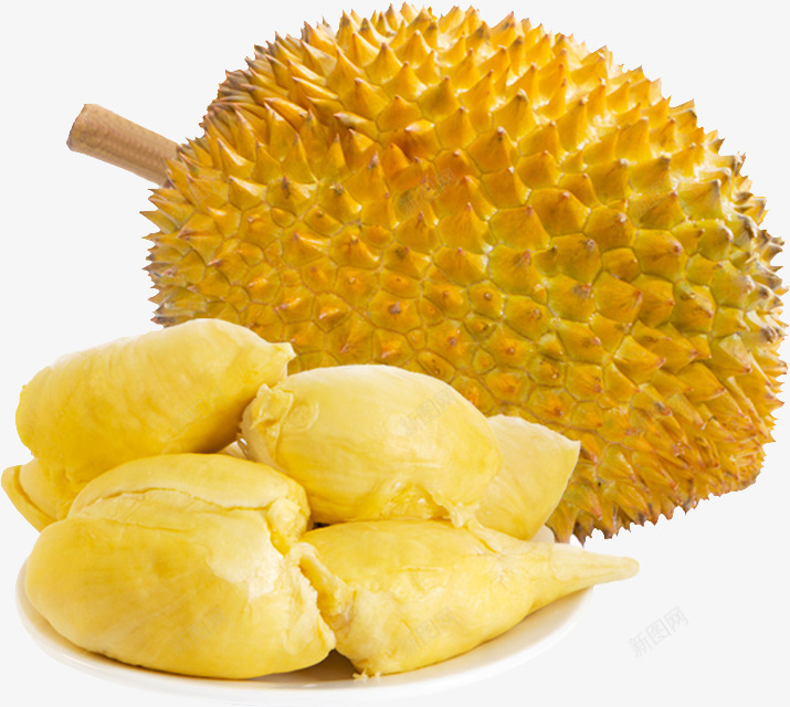 金枕榴莲榴莲水果png免抠素材_88icon https://88icon.com 榴莲 金枕 水果