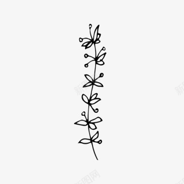 花卉插图植物花卉草药图标