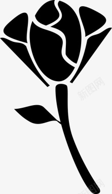 浪漫花朵漂浮玫瑰美丽花朵图标