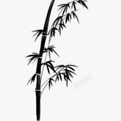 中国风水墨竹子古风竹叶竹林水彩手绘插画免扣PS设计素材