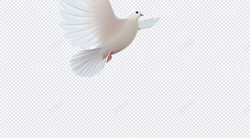 白鸽矢量矢量白鸽底纹矢量人物矢量树木矢量矢量手机矢jpg设计背景_88icon https://88icon.com 矢量 白鸽 底纹 人物 树木 手机